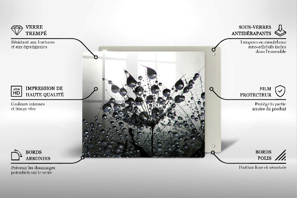 Osłona ściany przy kuchence gazowej Dmuchawce i rosa