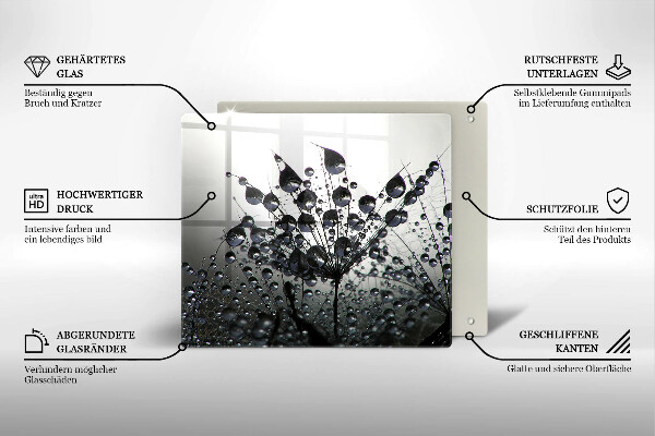 Osłona ściany przy kuchence gazowej Dmuchawce i rosa