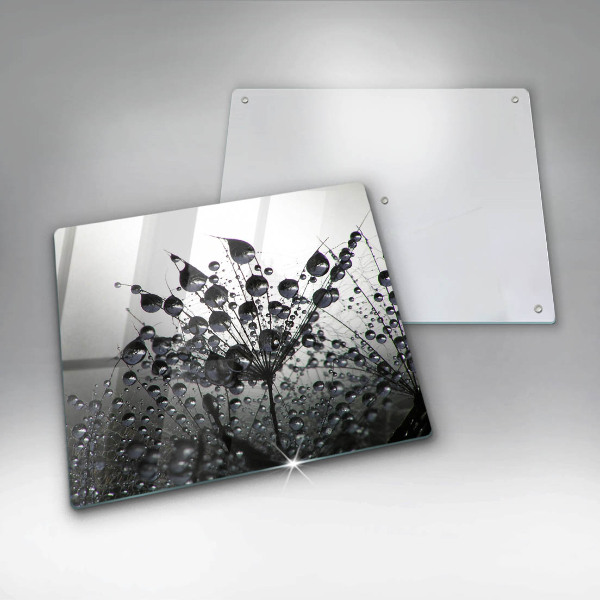 Osłona ściany przy kuchence gazowej Dmuchawce i rosa