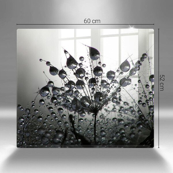 Osłona ściany przy kuchence gazowej Dmuchawce i rosa