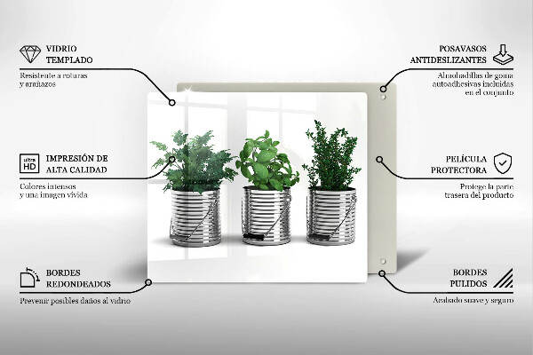 Osłona ściany przy kuchence gazowej Doniczki zioła rośliny