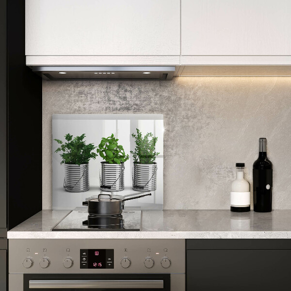 Osłona ściany przy kuchence gazowej Doniczki zioła rośliny