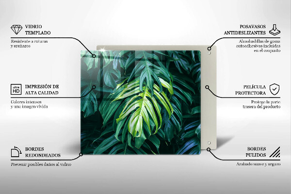 Osłona ściany przy kuchence gazowej Dzikie liście monstery