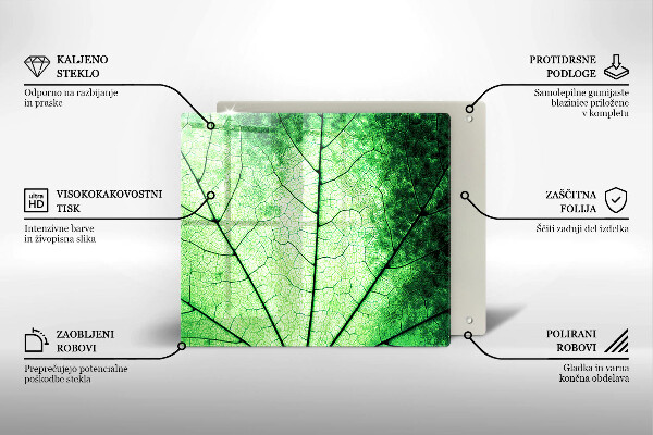 Osłona ściany przy kuchence gazowej Liść ozdobny żyłki