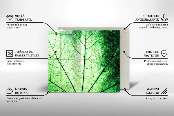 Osłona ściany przy kuchence gazowej Liść ozdobny żyłki