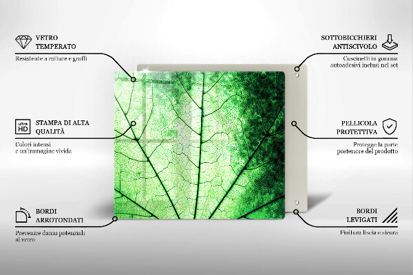 Osłona ściany przy kuchence gazowej Liść ozdobny żyłki