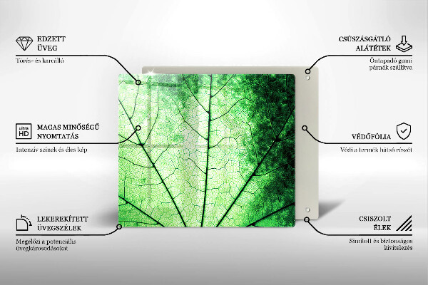 Osłona ściany przy kuchence gazowej Liść ozdobny żyłki
