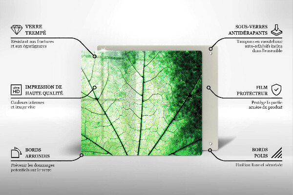 Osłona ściany przy kuchence gazowej Liść ozdobny żyłki