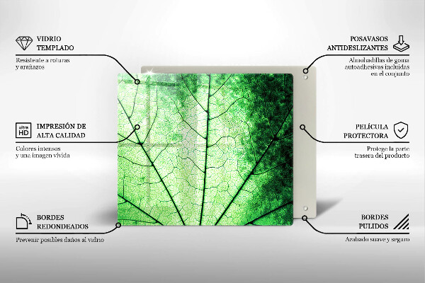Osłona ściany przy kuchence gazowej Liść ozdobny żyłki