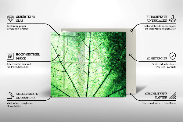 Osłona ściany przy kuchence gazowej Liść ozdobny żyłki