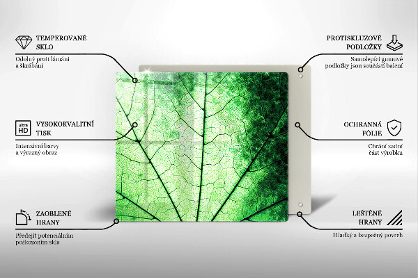 Osłona ściany przy kuchence gazowej Liść ozdobny żyłki