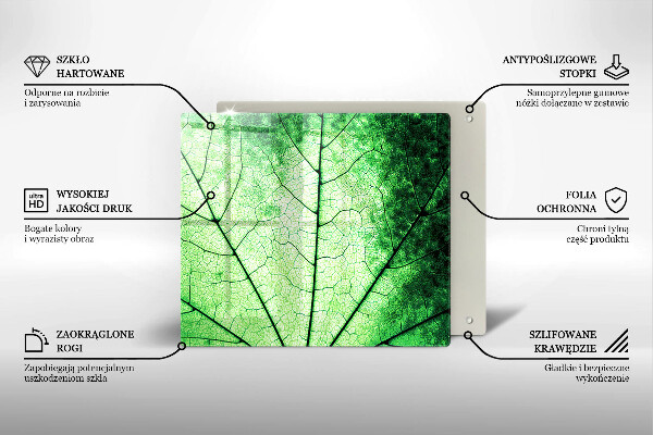 Osłona ściany przy kuchence gazowej Liść ozdobny żyłki