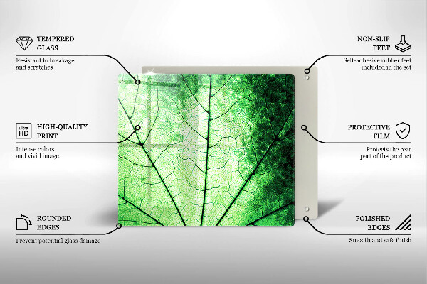 Osłona ściany przy kuchence gazowej Liść ozdobny żyłki