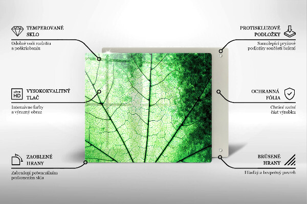 Osłona ściany przy kuchence gazowej Liść ozdobny żyłki