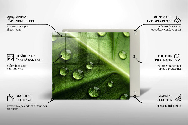Osłona ściany przy kuchence gazowej Natura rosa i liść