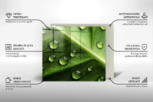 Osłona ściany przy kuchence gazowej Natura rosa i liść