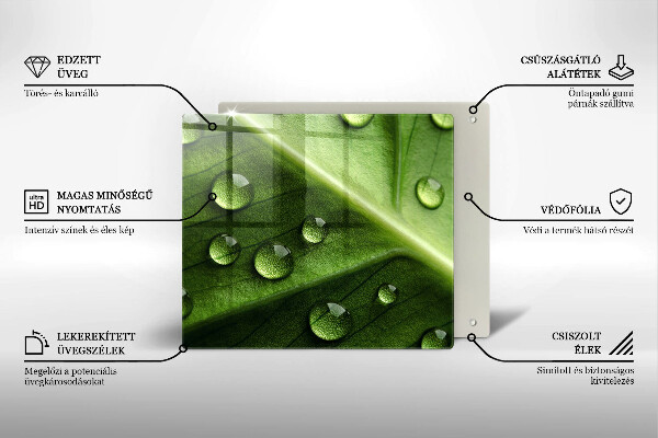 Osłona ściany przy kuchence gazowej Natura rosa i liść