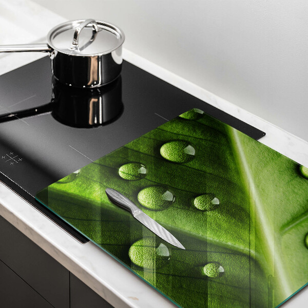 Osłona ściany przy kuchence gazowej Natura rosa i liść