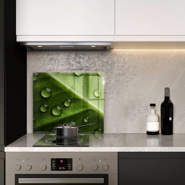 Osłona ściany przy kuchence gazowej Natura rosa i liść