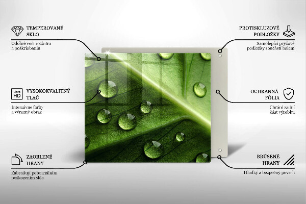 Osłona ściany przy kuchence gazowej Natura rosa i liść