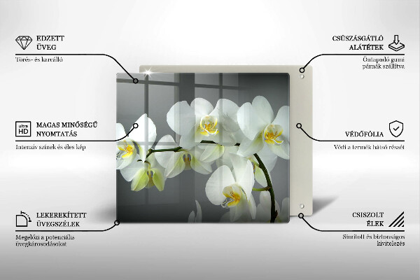 Osłona ściany przy kuchence gazowej Kwiaty biała orchidea