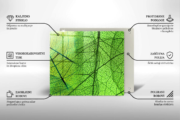Osłona ściany przy kuchence gazowej Żyłki liści natura