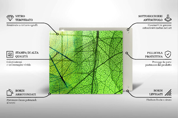 Osłona ściany przy kuchence gazowej Żyłki liści natura