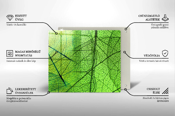 Osłona ściany przy kuchence gazowej Żyłki liści natura