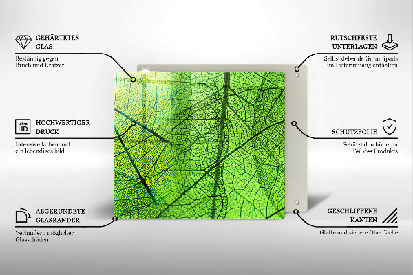 Osłona ściany przy kuchence gazowej Żyłki liści natura