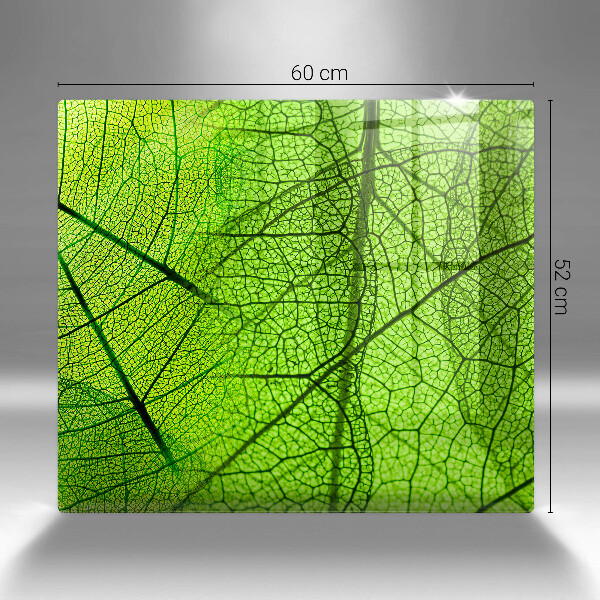 Osłona ściany przy kuchence gazowej Żyłki liści natura