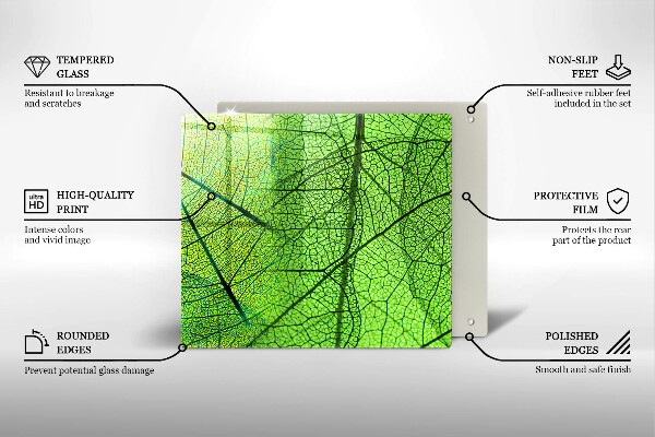 Osłona ściany przy kuchence gazowej Żyłki liści natura