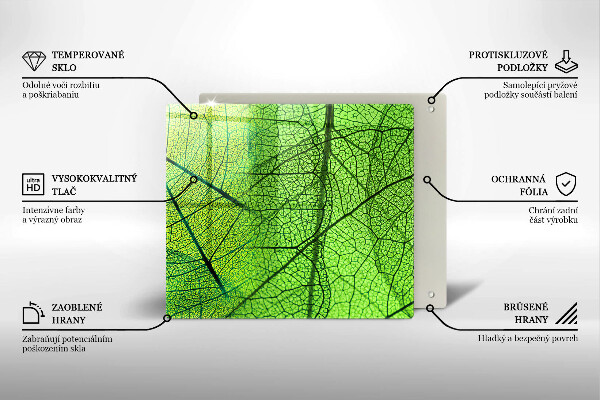 Osłona ściany przy kuchence gazowej Żyłki liści natura