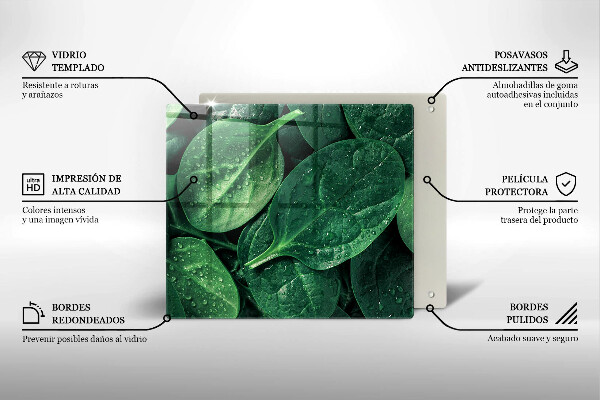 Osłona ściany przy kuchence gazowej Liście bazylii