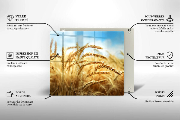 Osłona ściany przy kuchence gazowej Kłosy zbóż na polu