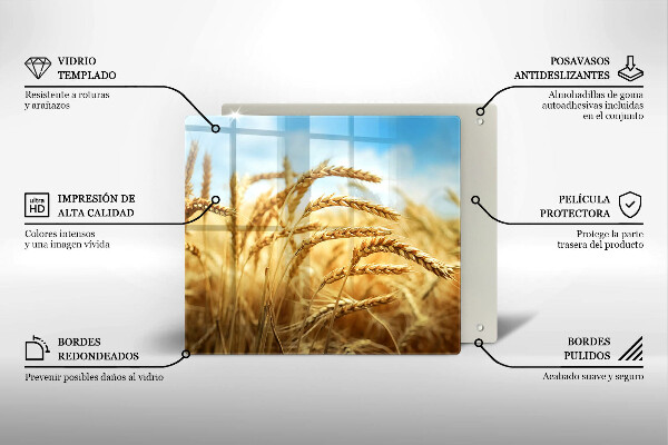 Osłona ściany przy kuchence gazowej Kłosy zbóż na polu