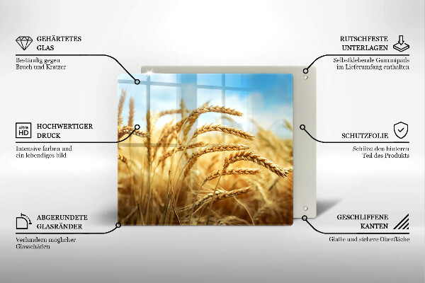 Osłona ściany przy kuchence gazowej Kłosy zbóż na polu