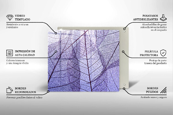 Osłona ściany przy kuchence gazowej Liście z żyłkami
