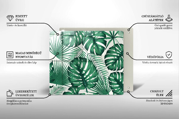 Osłona ściany przy kuchence gazowej Liście monstery