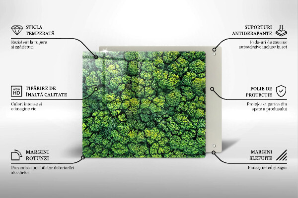 Osłona ściany przy kuchence gazowej Natura rośliny mech