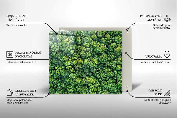 Osłona ściany przy kuchence gazowej Natura rośliny mech