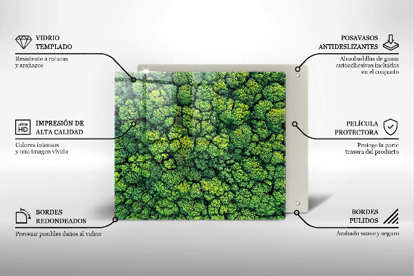 Osłona ściany przy kuchence gazowej Natura rośliny mech