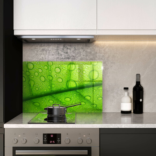 Osłona płyty indukcyjnej Zbliżenie liścia