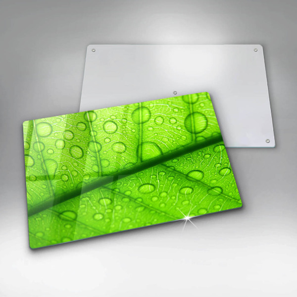 Osłona płyty indukcyjnej Zbliżenie liścia