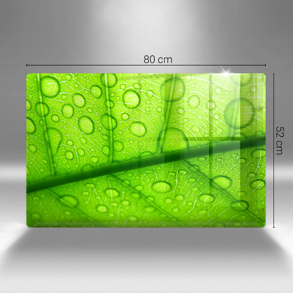 Osłona płyty indukcyjnej Zbliżenie liścia