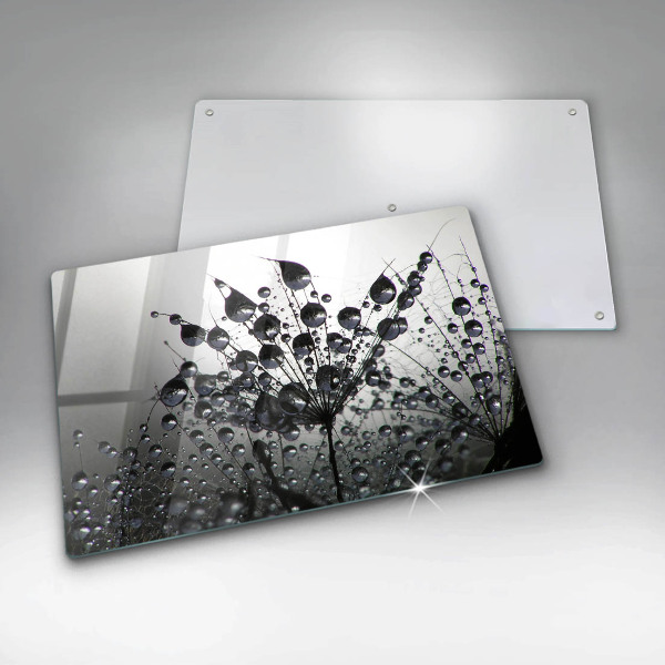 Osłona na płytę indukcyjną Dmuchawce i rosa