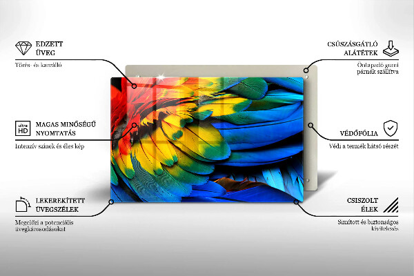 Osłona na ścianę do kuchni Barwne pióra papugi