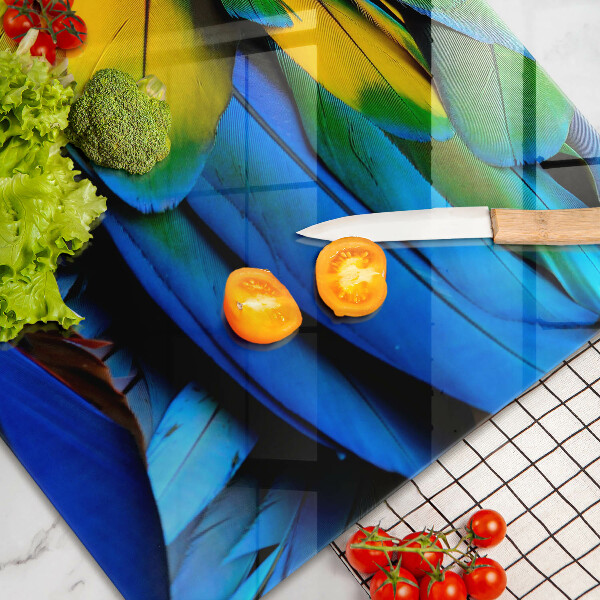 Osłona na ścianę do kuchni Barwne pióra papugi