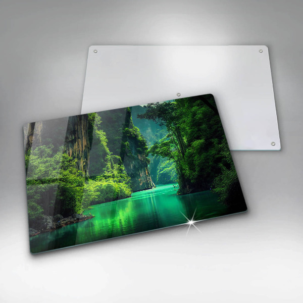 Osłona na płytę indukcyjną Pejzaż laguna