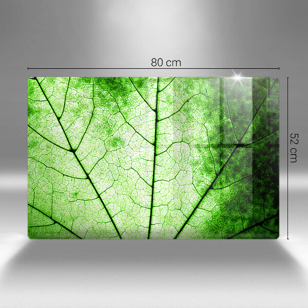 Osłona na płytę indukcyjną Liść ozdobny żyłki