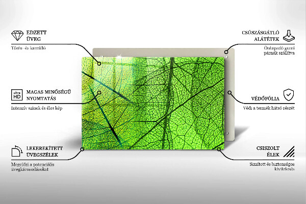Osłona na płytę indukcyjną Żyłki liści natura
